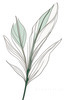 Minimalist Line Art of a Bird of Paradise Leaf