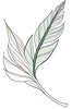 Minimalist Line Art of a Bird of Paradise Leaf