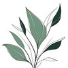 Minimalist Line Art of a Bird of Paradise Leaf