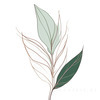 Minimalist Line Art of a Bird of Paradise Leaf