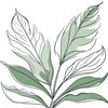 Minimalist Line Art of a Calathea Leaf