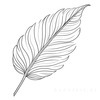 Minimalist Line Art of a Croton Leaf