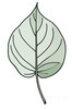 Minimalist Line Art of a Croton Leaf