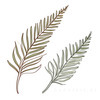 Minimalist Line Art of a Fern Frond