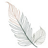Minimalist Line Art of a Fern Frond