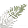 Minimalist Line Art of a Fern Frond