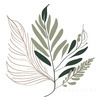 Minimalist Line Art of a Fern Frond