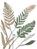 Minimalist Line Art of a Fern Frond