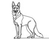 Minimalist Line Art of an Alert German Shepherd