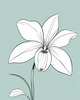 Continuous Curve of Orchid's Asymmetrical Petal - Minimalist Line Art