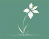 Continuous Curve of Orchid's Asymmetrical Petal - Minimalist Line Art
