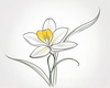 Continuous Curve of Orchid's Asymmetrical Petal - Minimalist Line Art