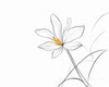 Continuous Curve of Orchid's Asymmetrical Petal - Minimalist Line Art