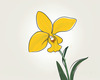 Continuous Curve of Orchid's Asymmetrical Petal - Minimalist Line Art