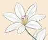 Continuous Curve of Orchid's Asymmetrical Petal - Minimalist Line Art