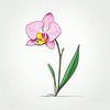 Continuous Curve of Orchid's Asymmetrical Petal - Minimalist Line Art