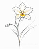 Continuous Curve of Orchid's Asymmetrical Petal - Minimalist Line Art