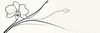 Continuous Curve of Orchid's Asymmetrical Petal - Minimalist Line Art