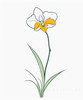Continuous Curve of Orchid's Asymmetrical Petal - Minimalist Line Art