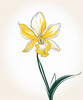 Continuous Curve of Orchid's Asymmetrical Petal - Minimalist Line Art