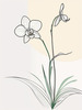 Continuous Curve of Orchid's Asymmetrical Petal - Minimalist Line Art