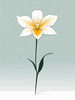Continuous Curve of Orchid's Asymmetrical Petal - Minimalist Line Art