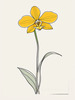 Continuous Curve of Orchid's Asymmetrical Petal - Minimalist Line Art