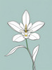 Continuous Curve of Orchid's Asymmetrical Petal - Minimalist Line Art