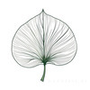 Minimalist Line Art of a Palm Leaf