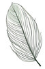 Minimalist Line Art of a Palm Leaf