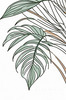 Minimalist Line Art of a Palm Leaf