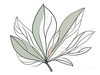 Minimalist Line Art of a Palm Leaf