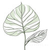 Minimalist Line Art of a Philodendron Leaf
