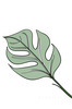 Minimalist Line Art of a Philodendron Leaf