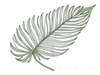 Minimalist Line Art of a Philodendron Leaf