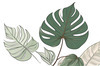 Minimalist Line Art of a Philodendron Leaf