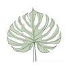 Minimalist Line Drawing of a Single Leaf