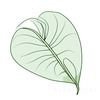 Minimalist Line Drawing of a Single Leaf