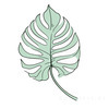 Minimalist Line Drawing of a Single Leaf