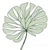 Minimalist Line Drawing of a Single Leaf