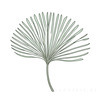 Minimalist Line Drawing of a Single Leaf