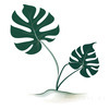 Minimalist Line Drawing of a Single Leaf