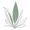 Minimalist Line Drawing of a Single Leaf
