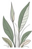 Minimalist Line Art of a Snake Plant Leaf