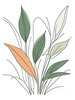 Minimalist Line Art of a Snake Plant Leaf