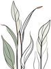 Minimalist Line Art of a Snake Plant Leaf