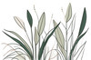 Minimalist Line Art of a Snake Plant Leaf