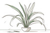Minimalist Line Art of a Snake Plant Leaf