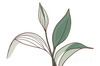 Minimalist Line Art of a Snake Plant Leaf