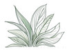 Minimalist Line Art of a Snake Plant Leaf